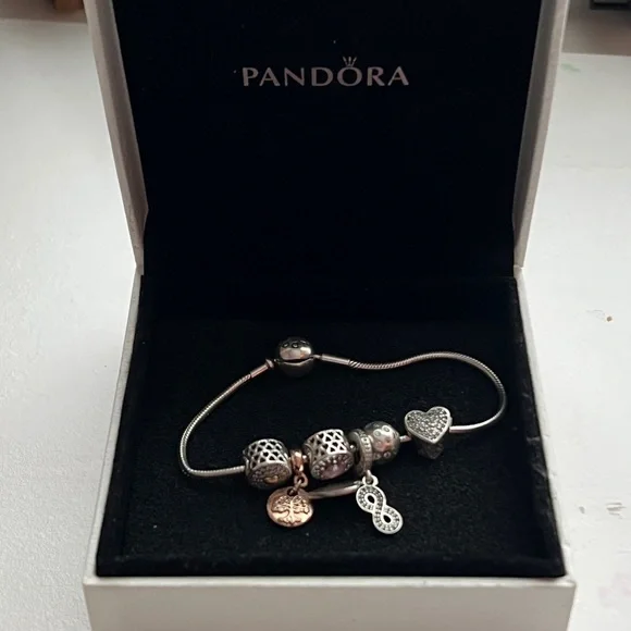 Pandora essence Bracelet with 5 charms - Picture 3 of 8